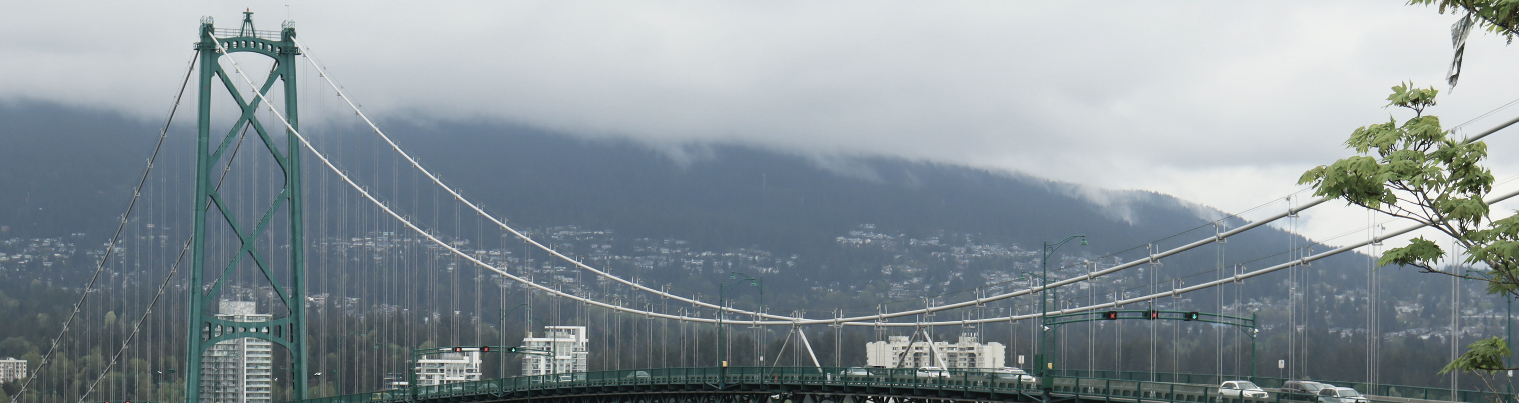 Portfolio First slide